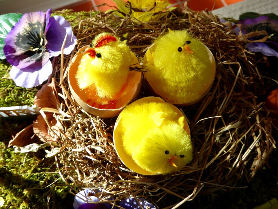 Decoration chicks art object photo