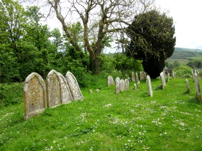 All Saints Church, Church Hill, Godshill (May 2016) (Churchyard) (1)