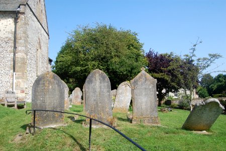 All Saints Church, Church Lane, East Meon (NHLE Code 1351116) (July 2019) (Churchyard) (3)