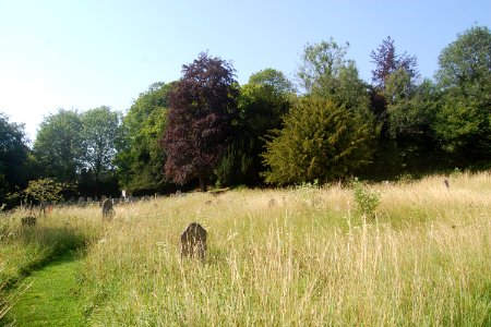 All Saints Church, Church Lane, East Meon (NHLE Code 1351116) (July 2019) (Churchyard) (1)