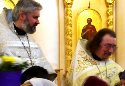 Alexander Nevsky Cathedral Petrozavodsk 4