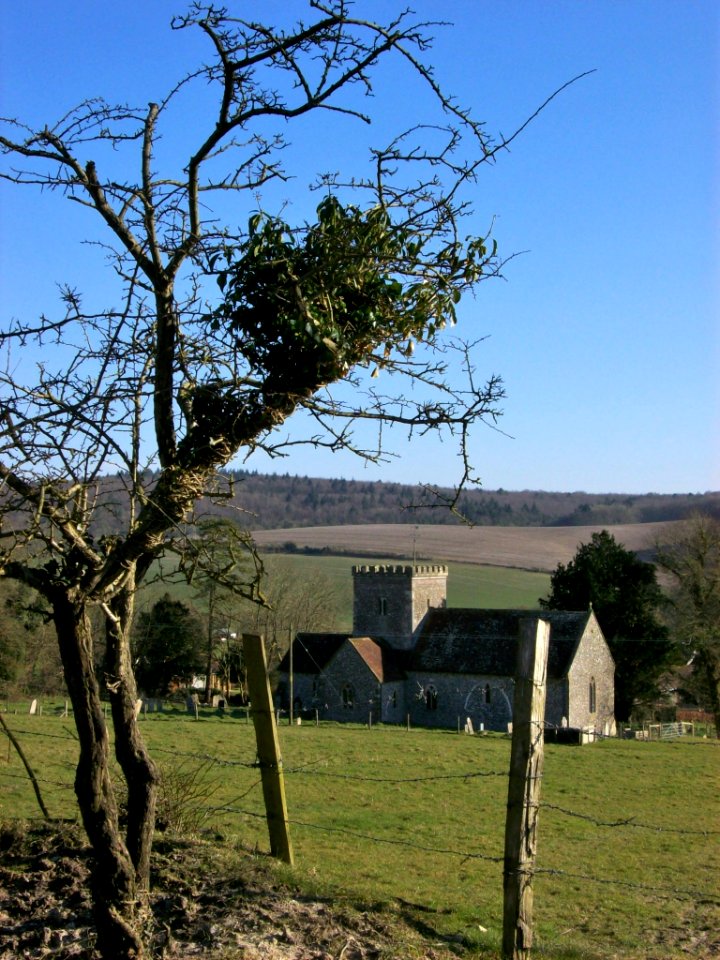 All Saints, East Dean from Downs