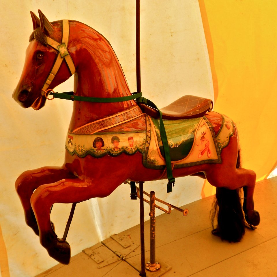 All Hallows Brown Horse