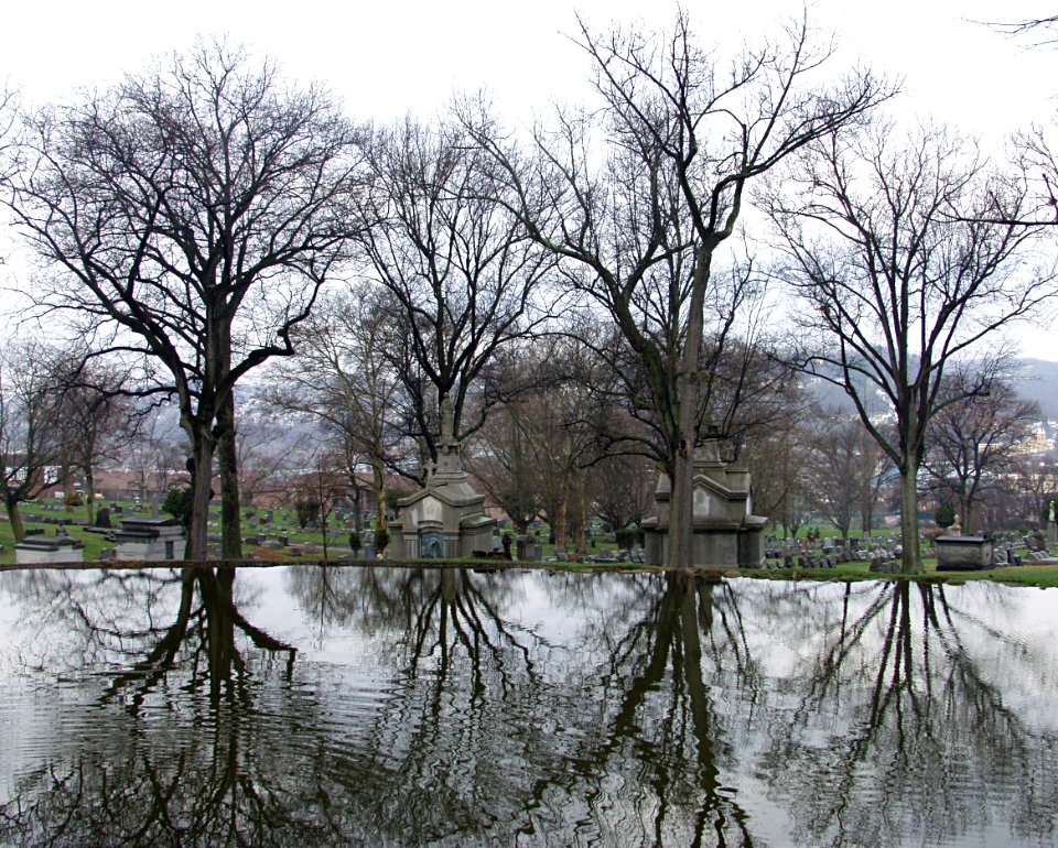 Allegheny Cemetery Pond, 2015-04-09, 03
