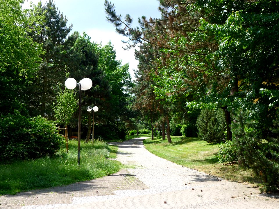 Allee Pierre de Coubertin (Berlin-Wittenau)