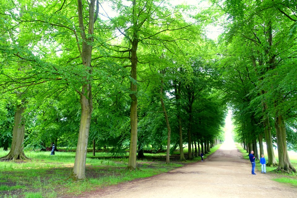 Allee, looking towards Blanche's vase - Chatsworth House - Derbyshire, England - DSC03584