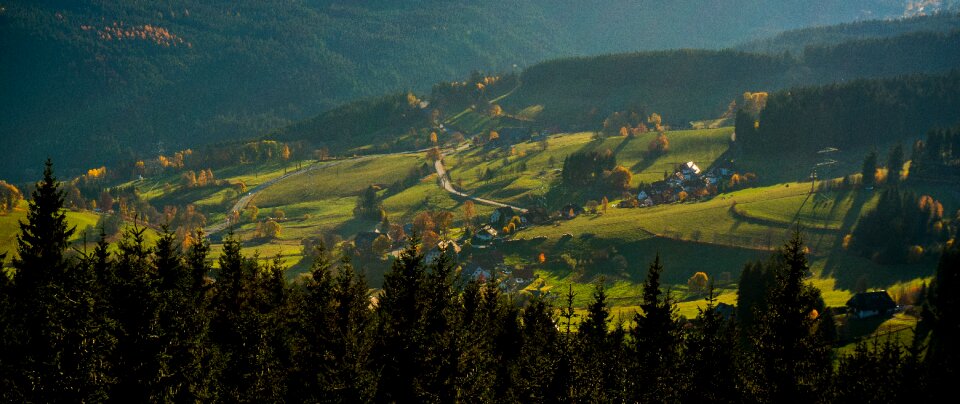 Landscape nature forest