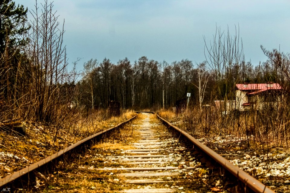 All Roads Lead Into Apocalypse (207443657)