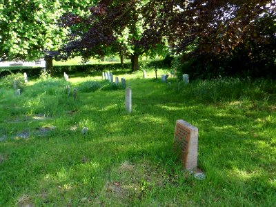 All Saints Church, Sussex Lane, Blackham (May 2013) (Churchyard) (3)