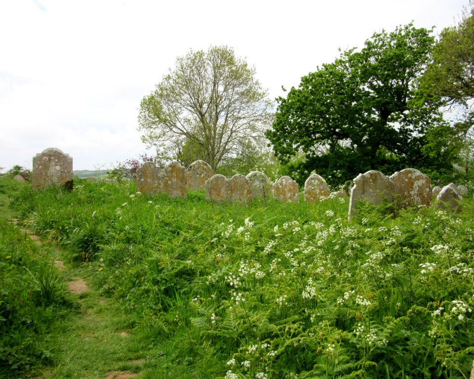 All Saints Church, Church Hill, Godshill (May 2016) (Churchyard) (2)