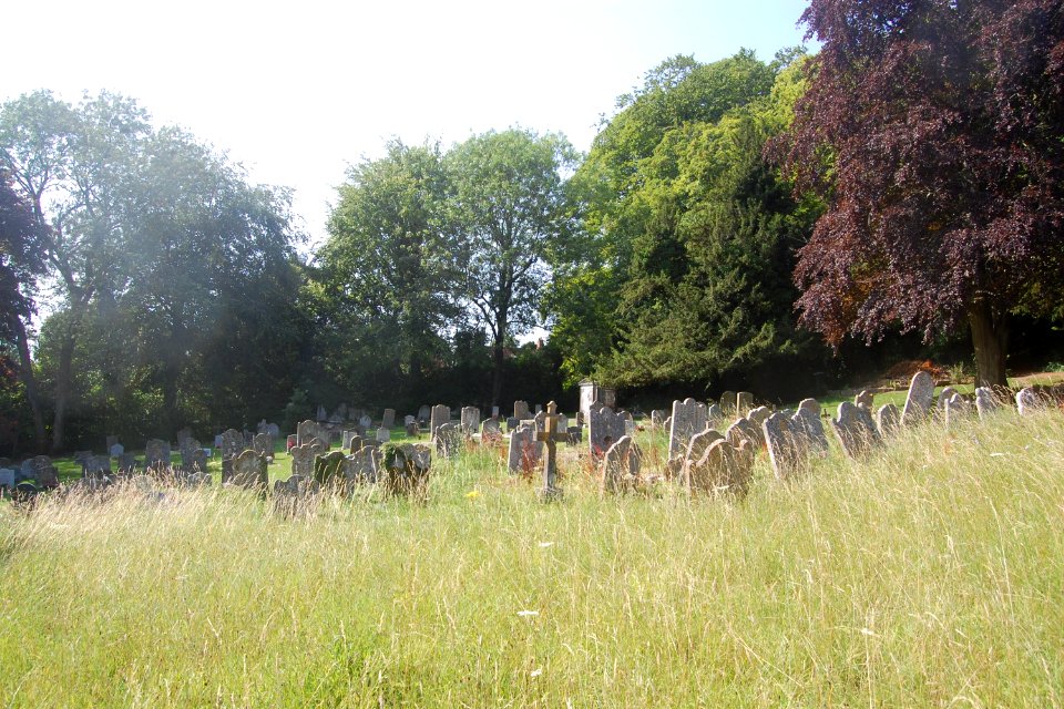 All Saints Church, Church Lane, East Meon (NHLE Code 1351116) (July 2019) (Churchyard) (2)