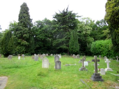 All Saints Church, Tilford Road, Tilford (June 2015) (Churchyard) (1) photo