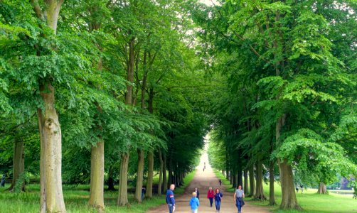 Allee, looking towards Blanche's vase - Chatsworth House - Derbyshire, England - DSC03578