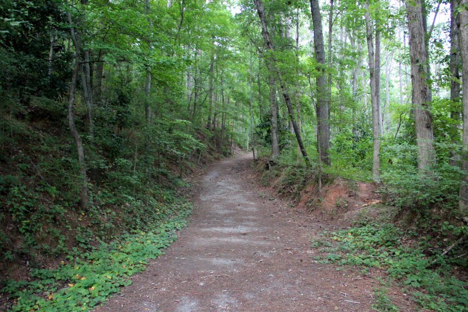 Allatoona Pass Battlefield wagon trail, August 2017