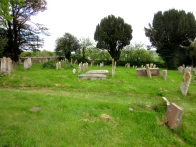 All Saints Church, The Green, Calbourne (May 2016) (Churchyard) (1)