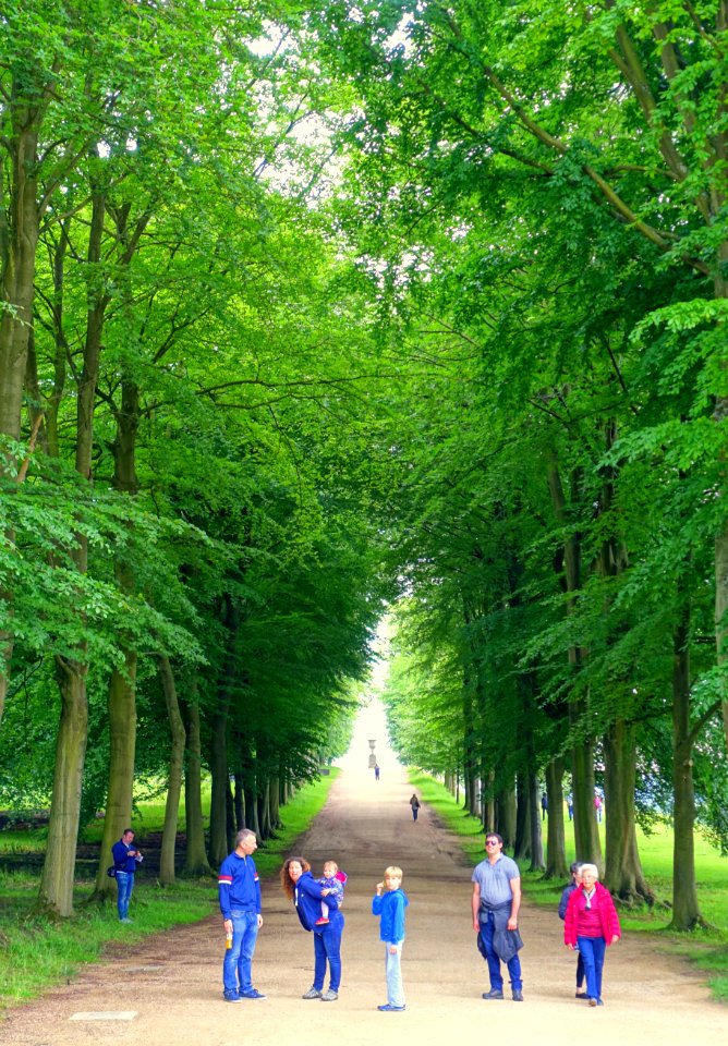 Allee, looking towards Blanche's vase - Chatsworth House - Derbyshire, England - DSC03580