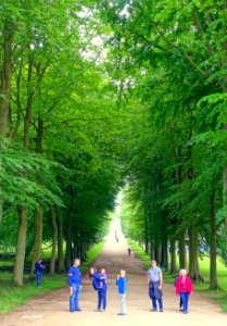 Allee, looking towards Blanche's vase - Chatsworth House - Derbyshire, England - DSC03580