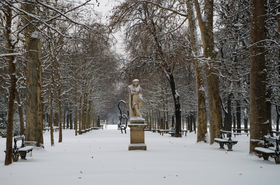 Allée du Jardin du Luxembourg sous la neige