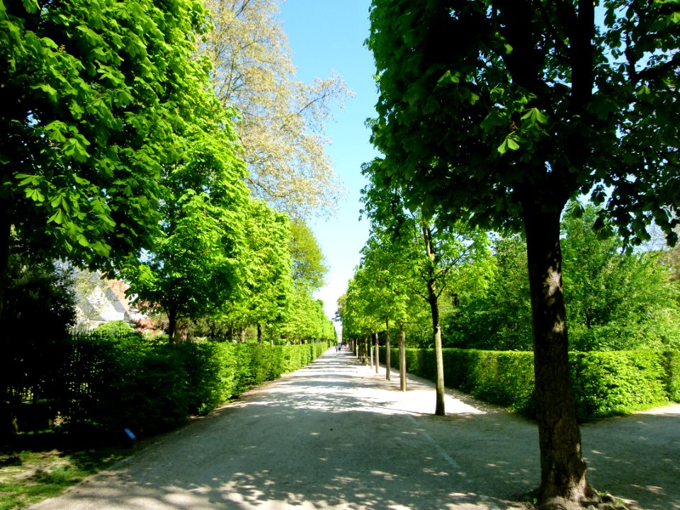 Allée du parc de Sceaux
