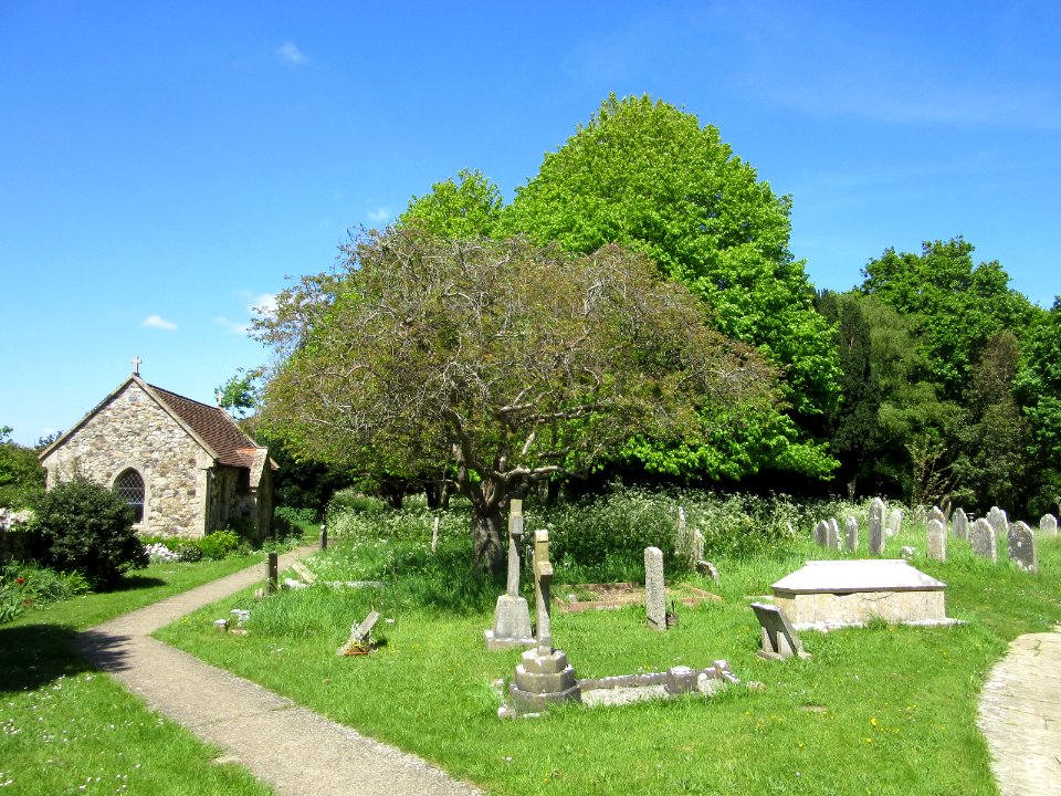 All Saints Church, Church Place, Freshwater (May 2016) (Churchyard) (1)