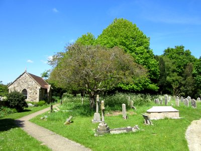 All Saints Church, Church Place, Freshwater (May 2016) (Churchyard) (1)