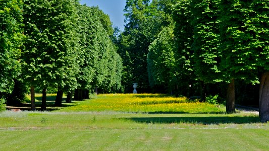 Allée parc château Champs-sur-Marne