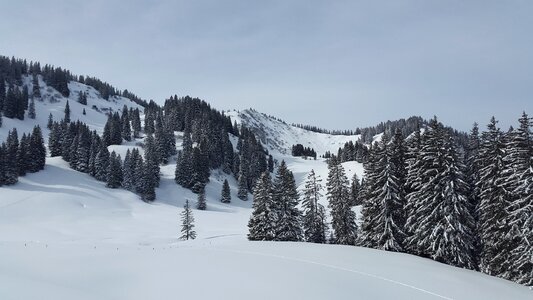 Winter snow winter sports