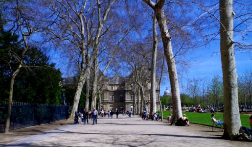 Allée du Jardin du Luxembourg