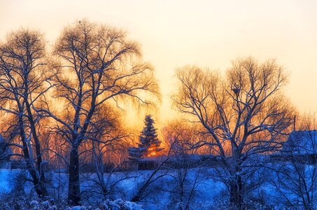 Cottage landscape frost photo