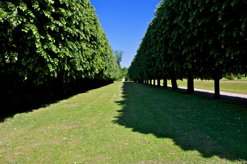 Allée vase Château Champs sur Marne