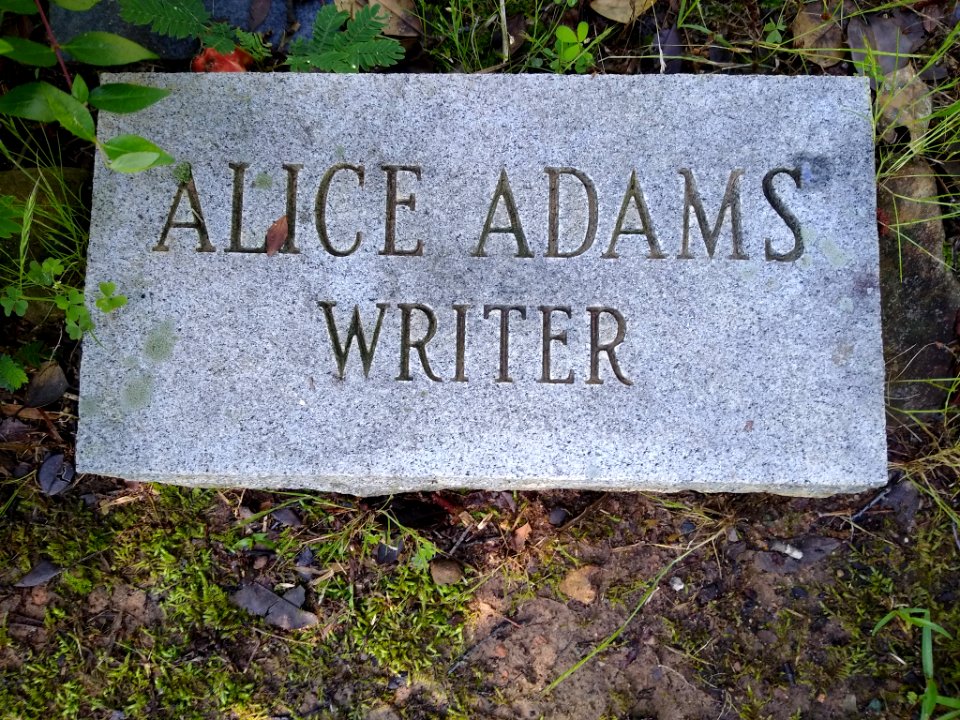 Alice Adams and Max Steele graves 3