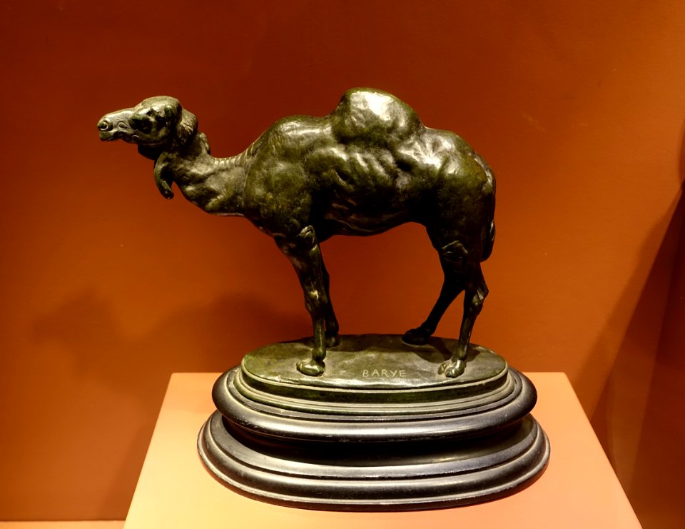 Algerian Dromedary by Antoine-Louis Barye, undated, bronze - Middlebury College Museum of Art - Middlebury, VT - DSC08140