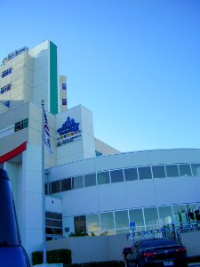 All Childrens St Pete Florida children's hospital