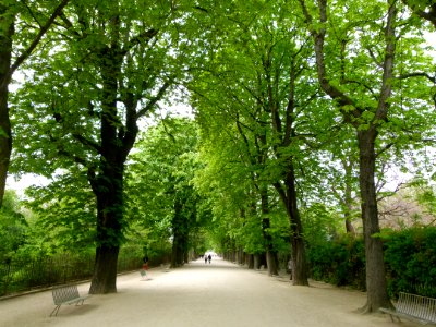 Allée du Jardin des Plantes 2