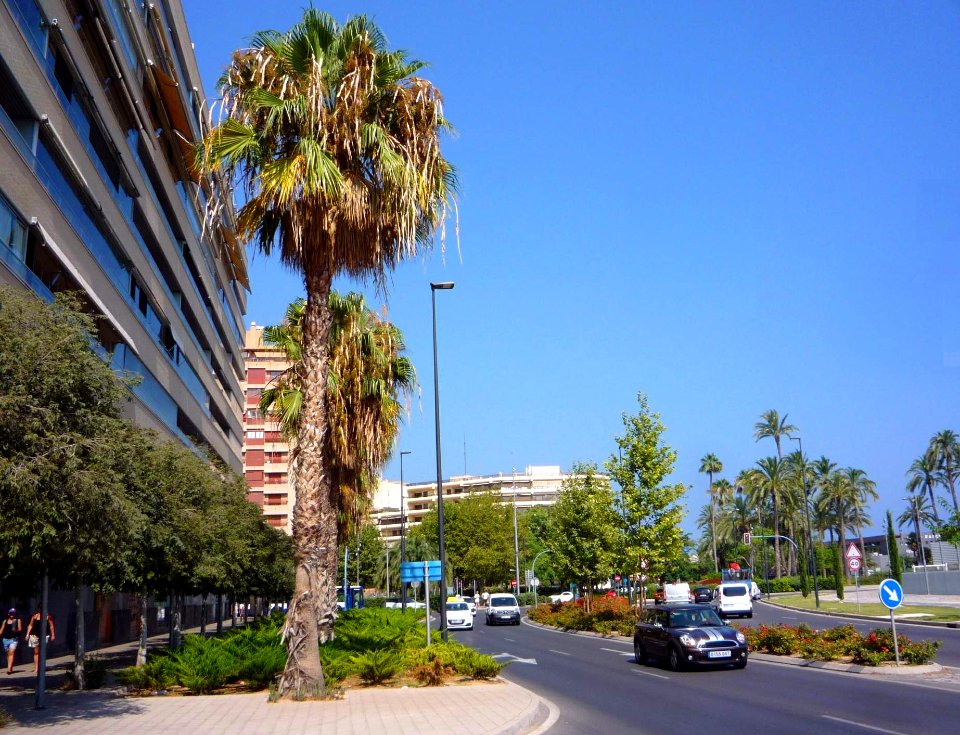 Alicante - Avenida de Elche 1