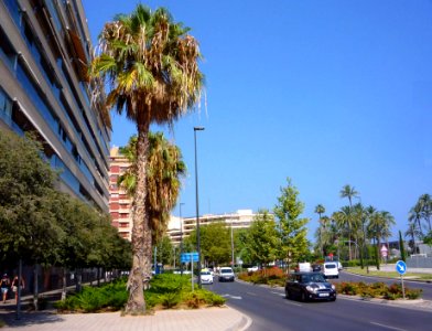 Alicante - Avenida de Elche 1