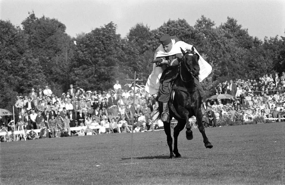 Algerijnse Spahis in Groninger Sportpark, Bestanddeelnr 912-8741