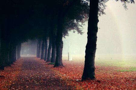Away landscape autumn