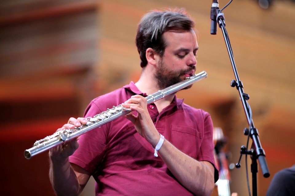Alien Ensemble Heimatsound 2015 (08)
