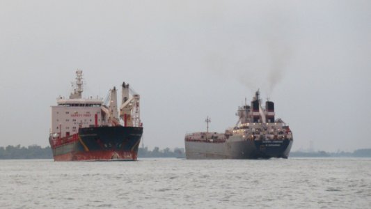 Algoma Compass and the Rosaire A Desgagnes in the Detroit River