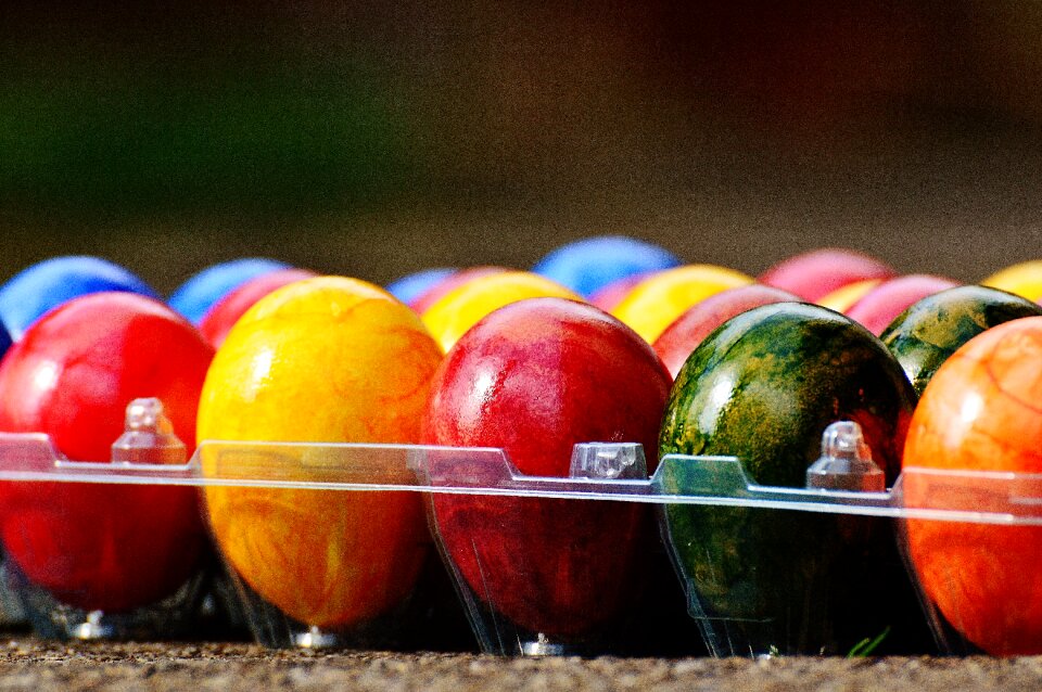 Happy easter egg colored