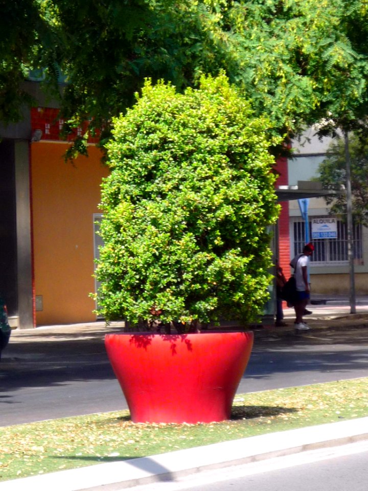 Alicante - Avenida Catedrático Soler 2