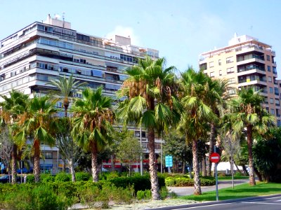 Alicante - Avenida de Loring 1