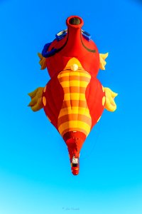 Alien In The Sky (206243331)