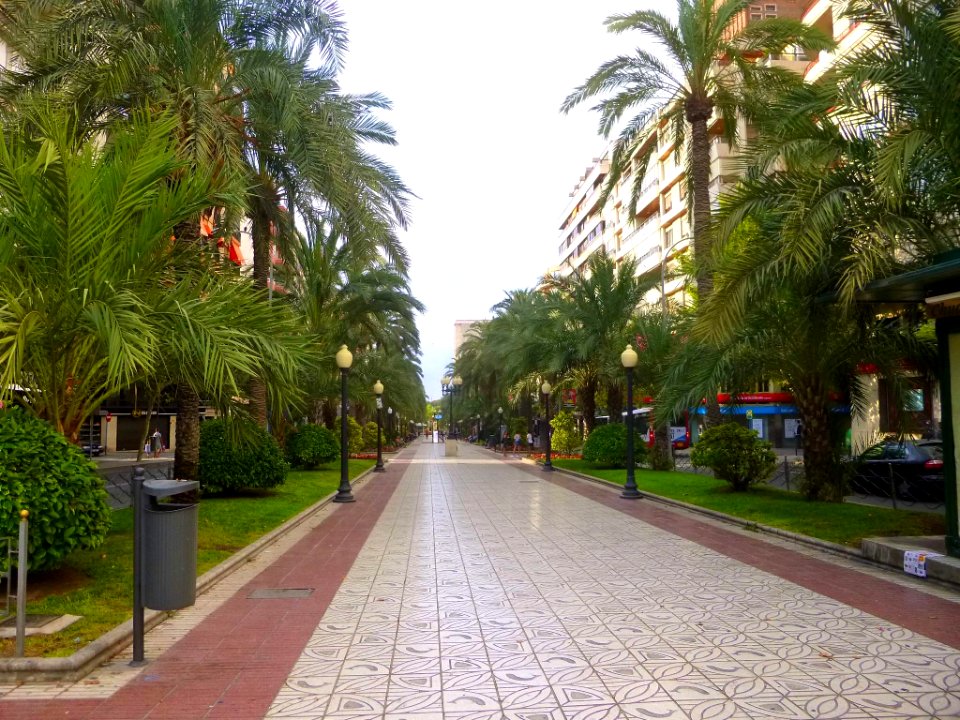 Alicante - Avenida de la Estación