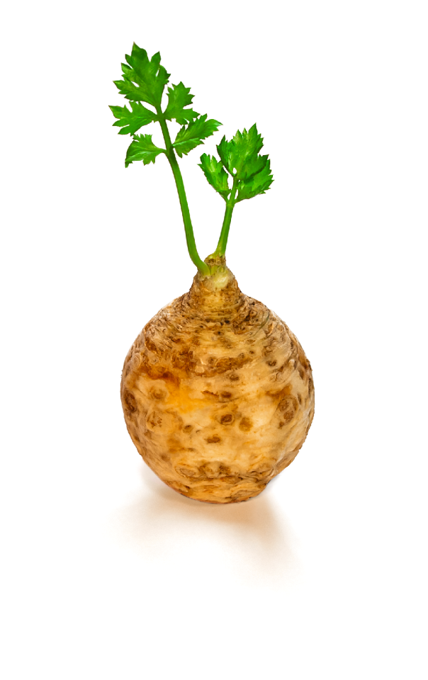 Diet fresh organic