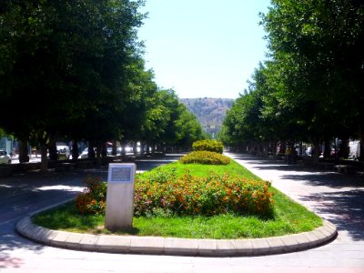 Alicante - 113