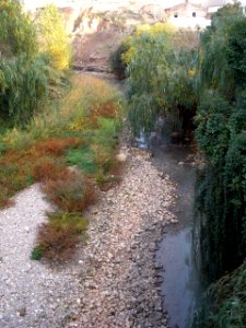 Alfaro - Rio Alhama 5