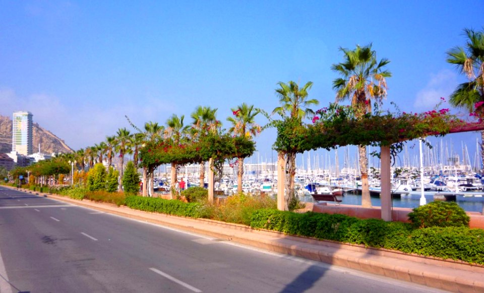 Alicante - Avenida del Almirante Julio Guillén Tato
