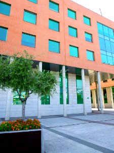 Alcobendas - Ayuntamiento 07